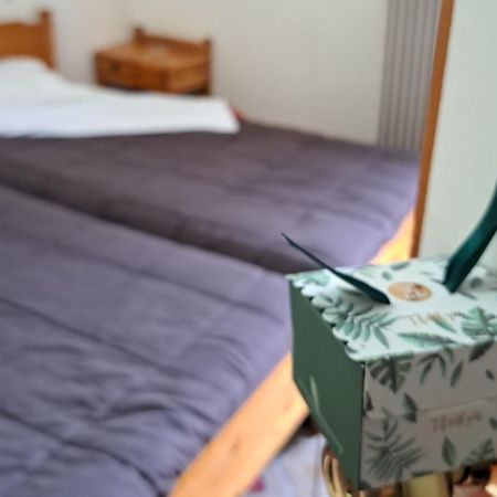 Apollon Inn Arachova Zimmer foto